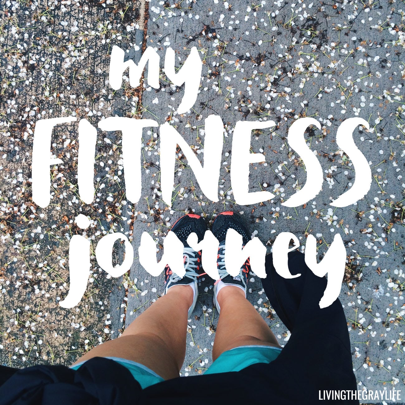 fitness-health-journey