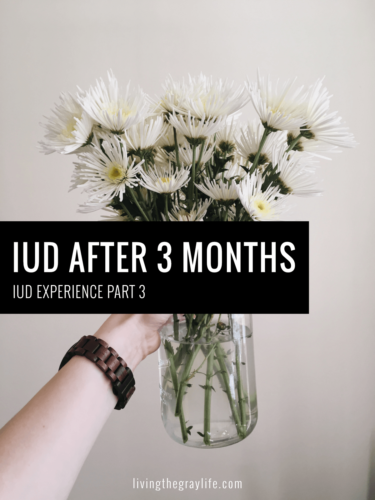 Iud Experience Part 3 Blog Cover