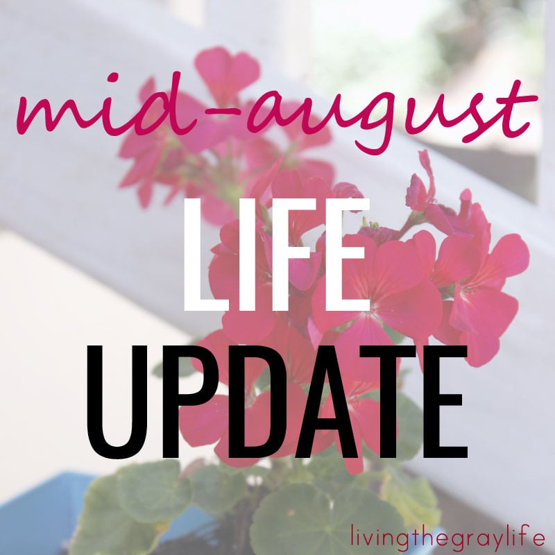 Mid-August Life Update