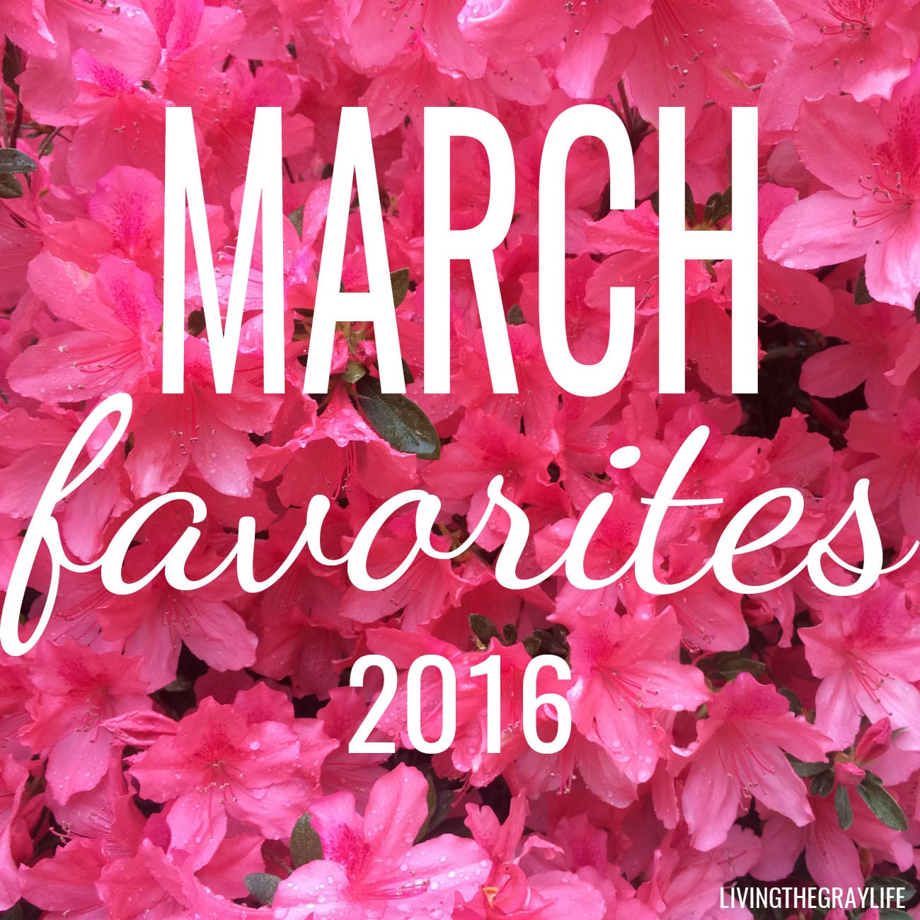 march favorites 2016