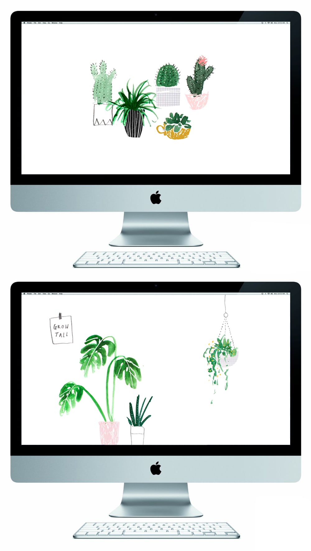 april favorites cacti desktop background