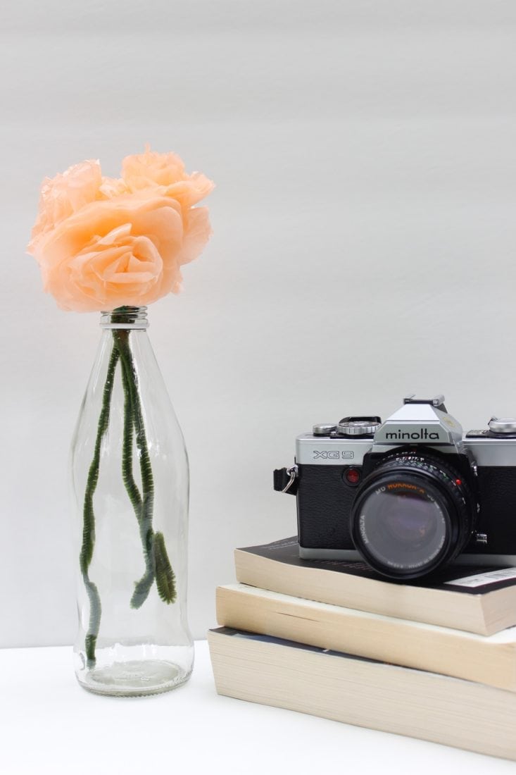 beginner blogger photography camera comparison DSLR