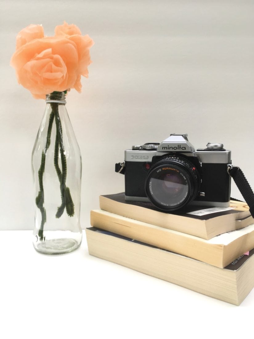 beginner blogger photography camera comparison iphone