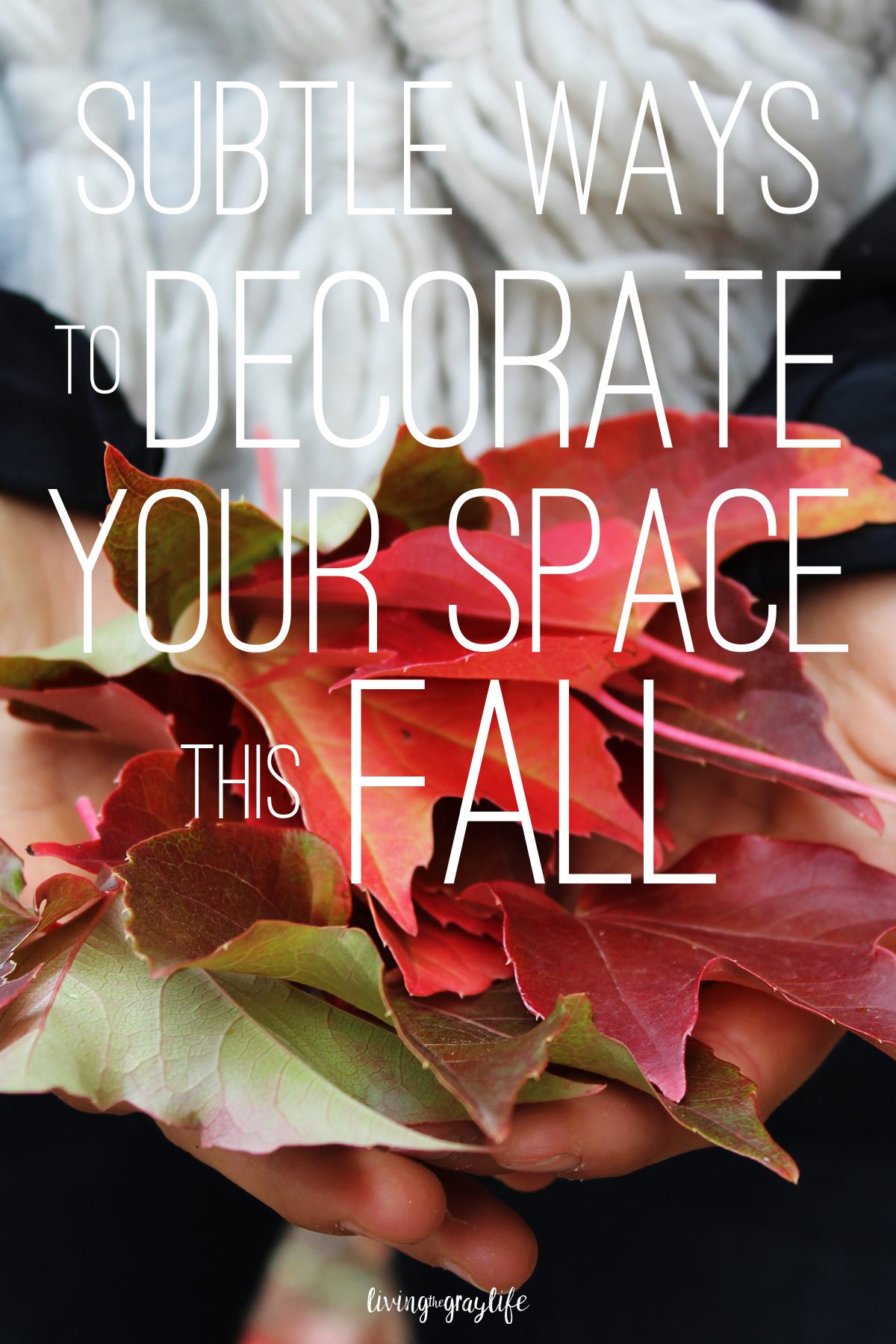 Subtle ways to decorate your space this fall | Perfect for college dorms, apartments, or bedrooms