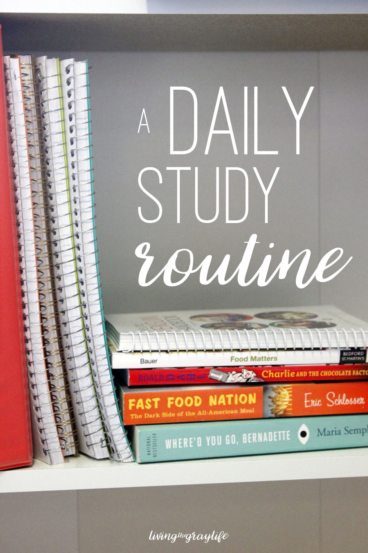 Struggling with finding time for friends and school while in college? Here's a daily study routine that works for me to make those A's and B's!