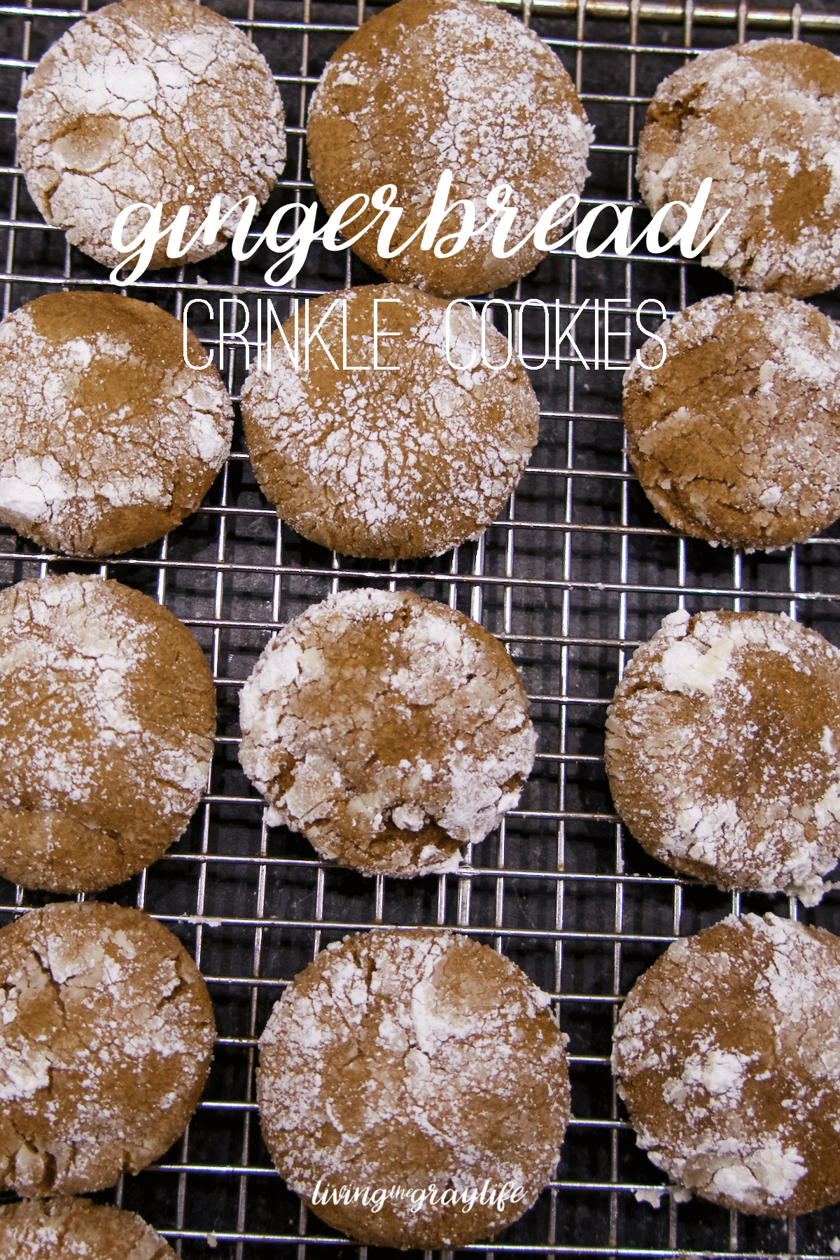 Gingerbread Crinkle Cookies | Easy, simple, and delicious way to celebrate the holidays!