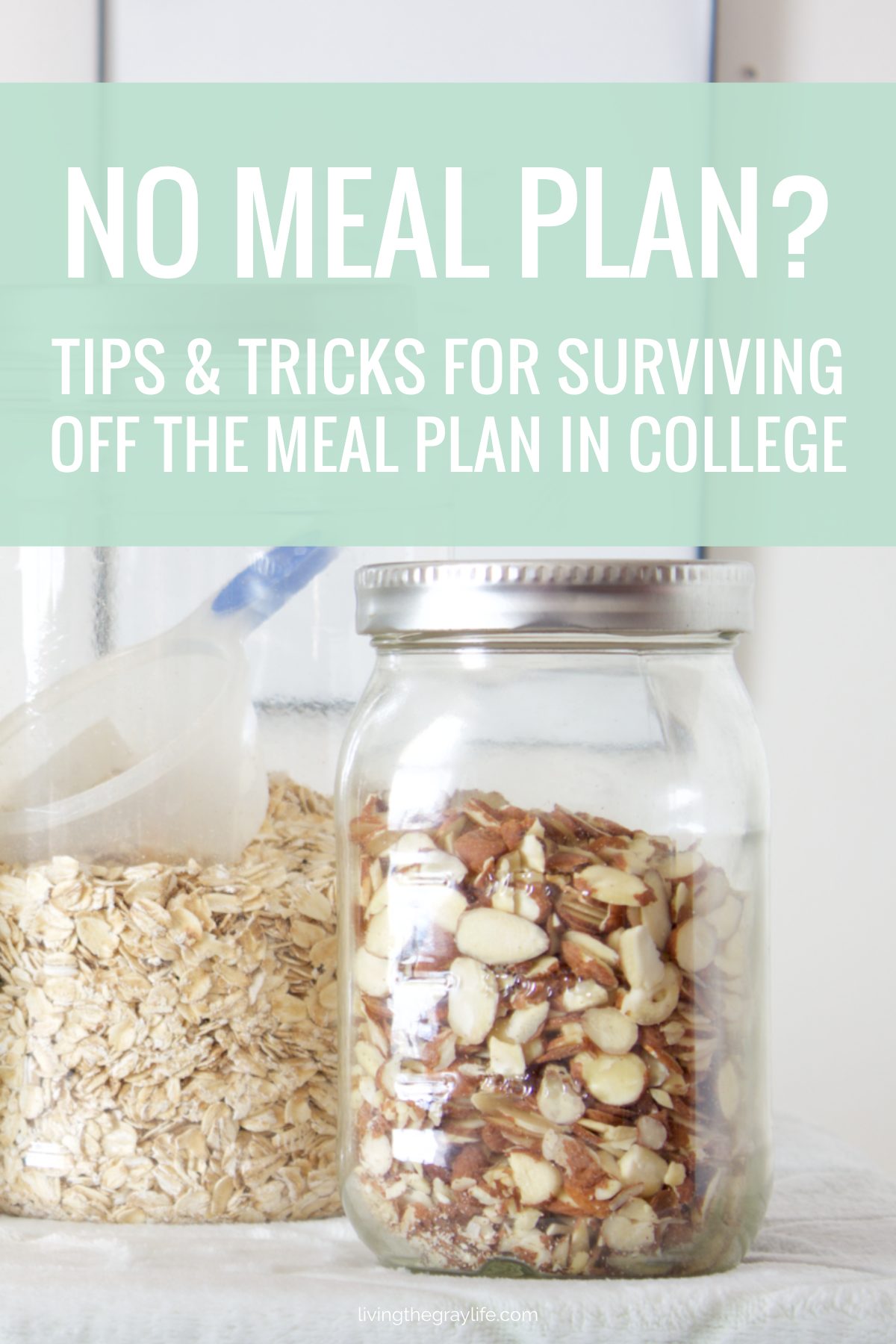 Are you finally off the college meal plan or you're just looking for ways to save money on groceries? Check out this post and see all the ways to survive off the meal plan in college!