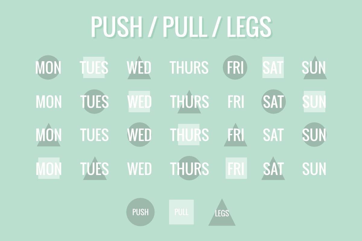 Creating a gym routine perfect for you: the push pull legs split.