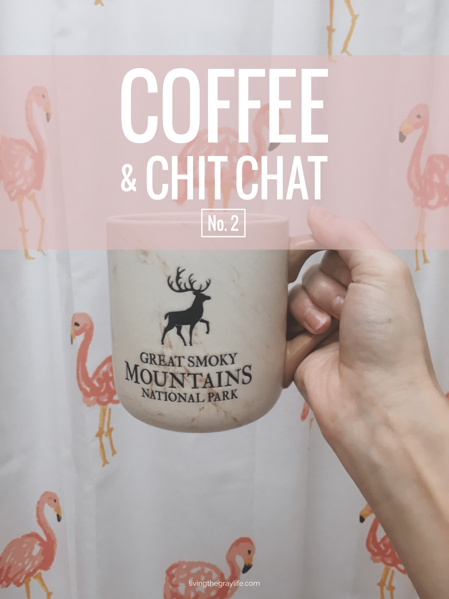 Coffee & Chit Chat | No. 2