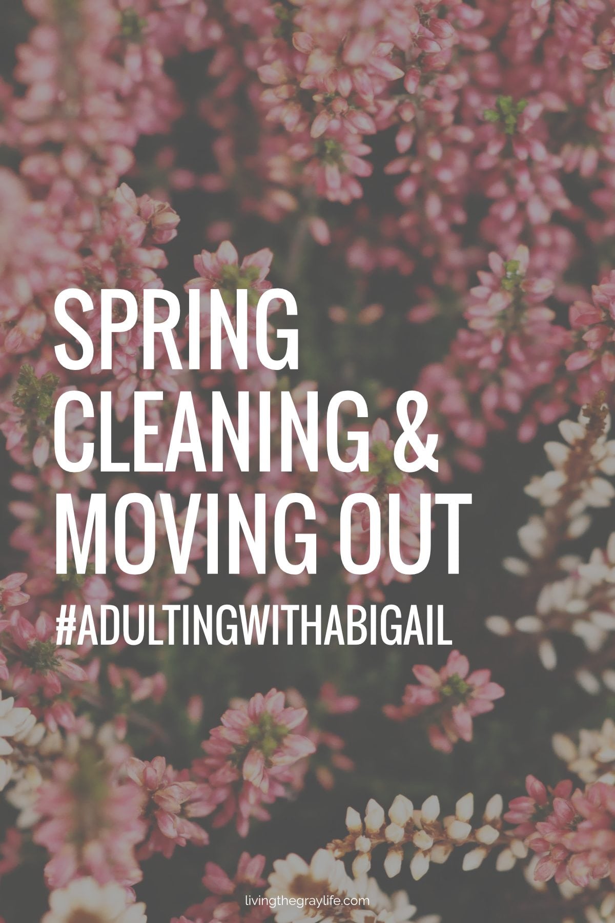 Spring Cleaning | #AdultingWithAbigail