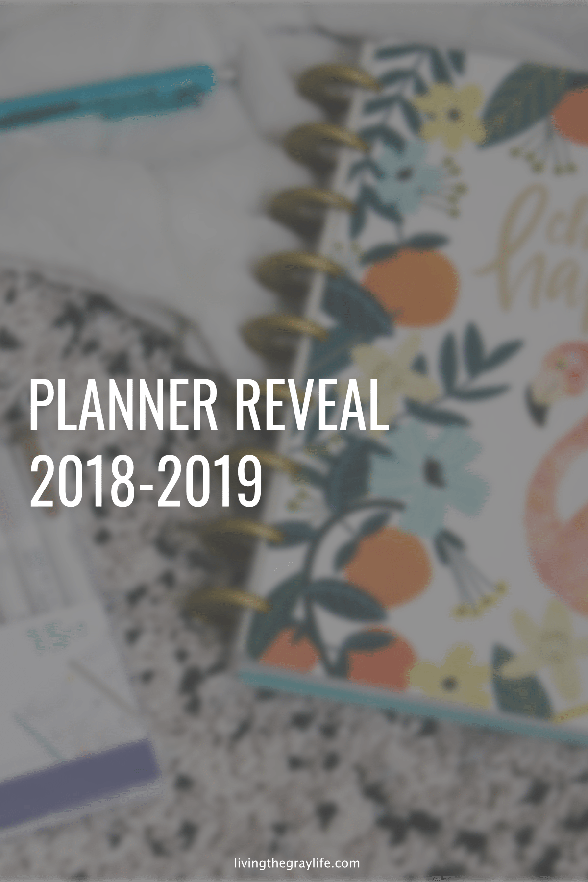 The Happy Planner Reveal