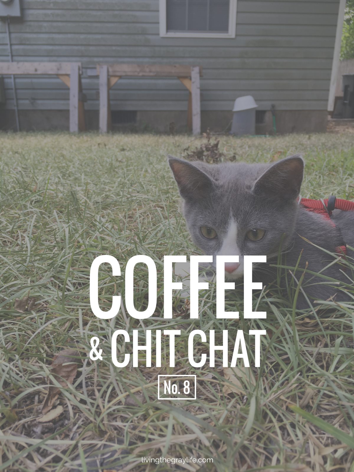 August Highlights + Back to College | Coffee & Chit Chat No. 8