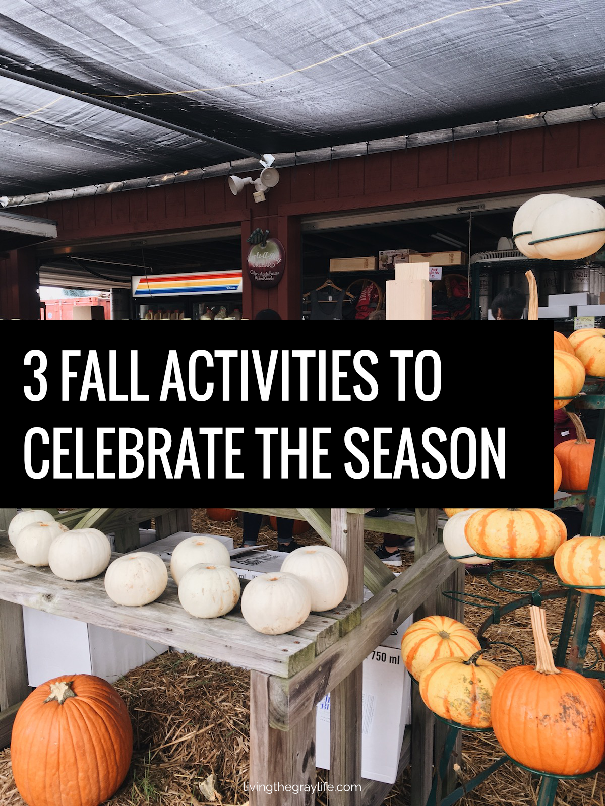Fall Activities to Help You Live Your Basic White Girl Life
