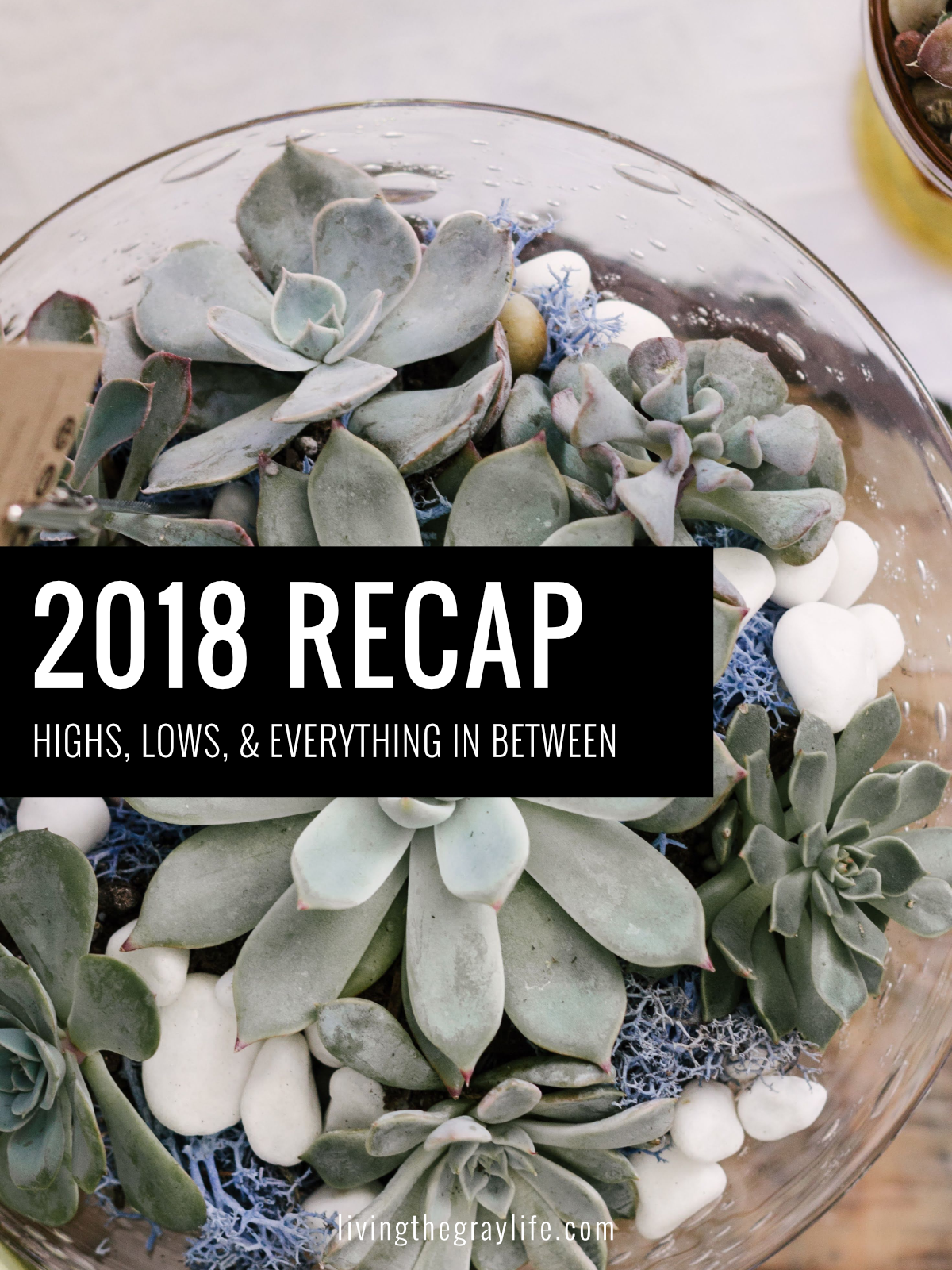 2018 Year In Review Cover Img 1