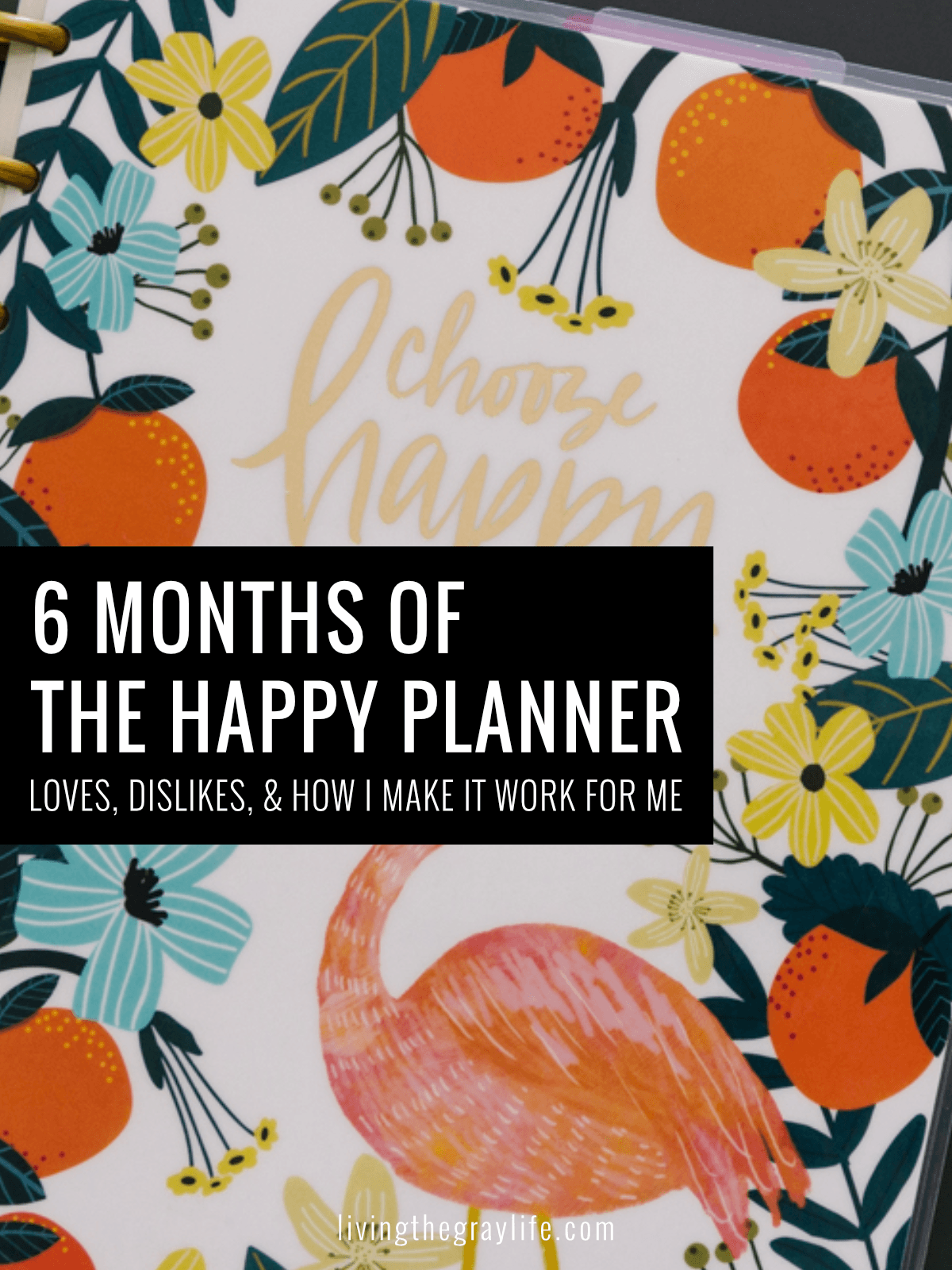 My Experience with The Happy Planner after 6 Months