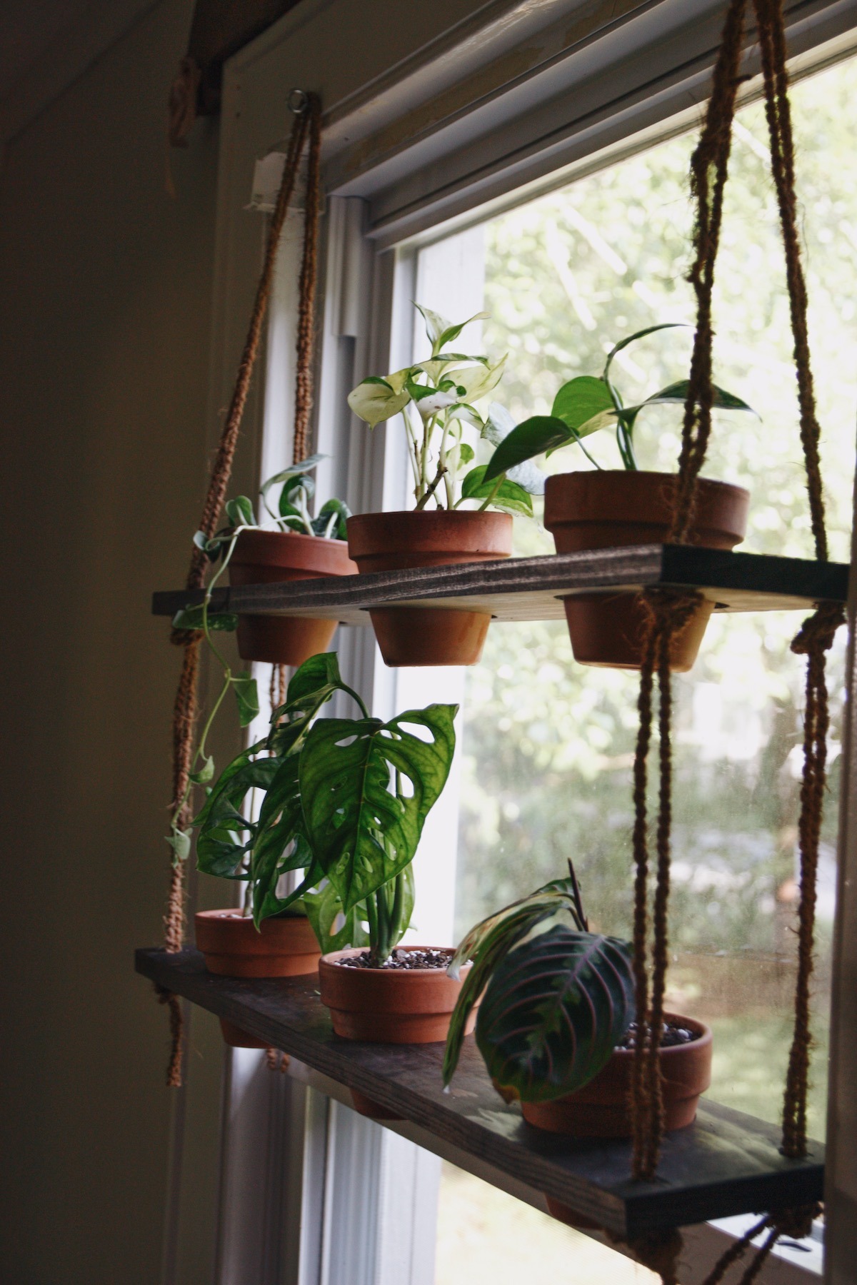 Diy Hanging Plant Shelf Living The, How To Build Window Shelves For Plants