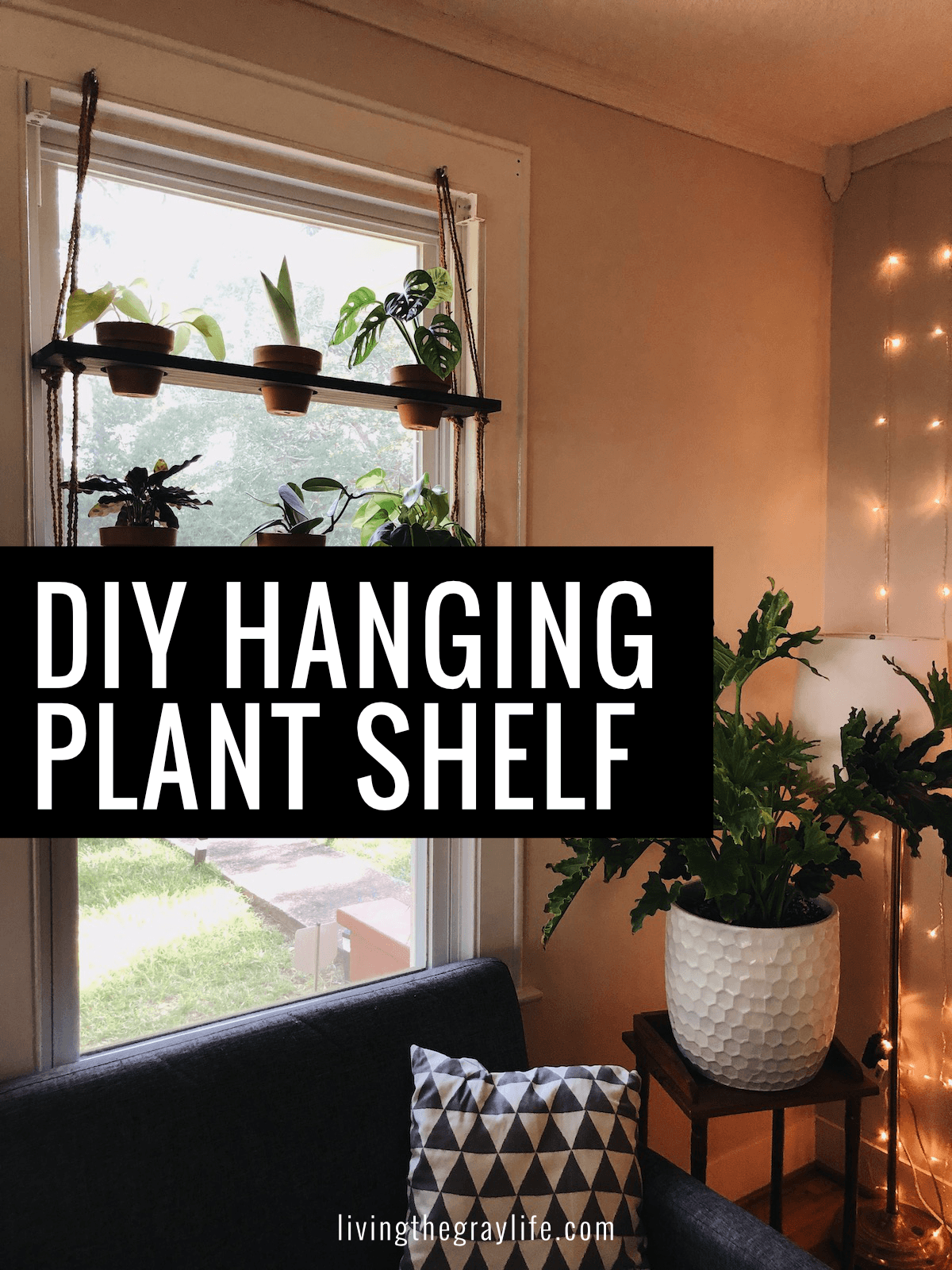 Diy Hanging Plant Shelf Blog Cover