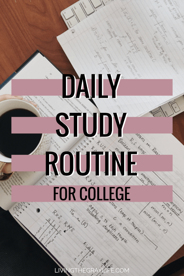 Daily Study Routine 2